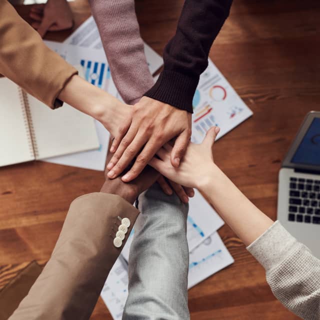 Business team hands